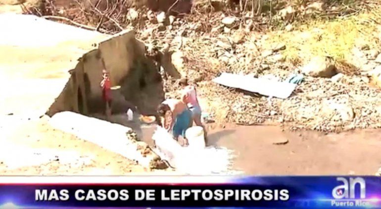 Más casos de Leptospirosis