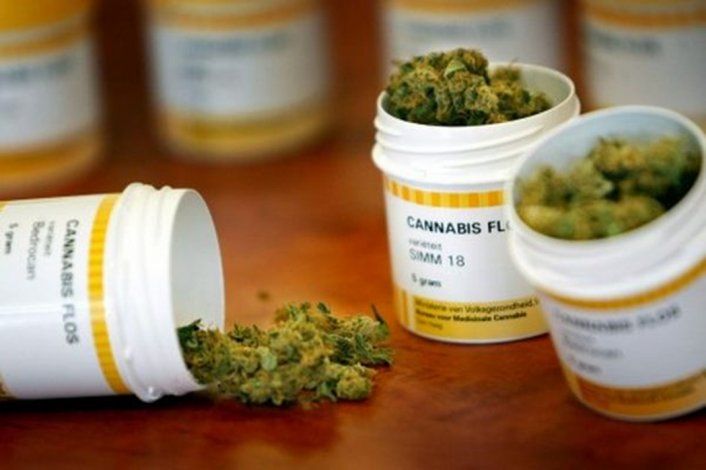 Rosselló se compromete a ofrecer protección a pacientes de cannabis