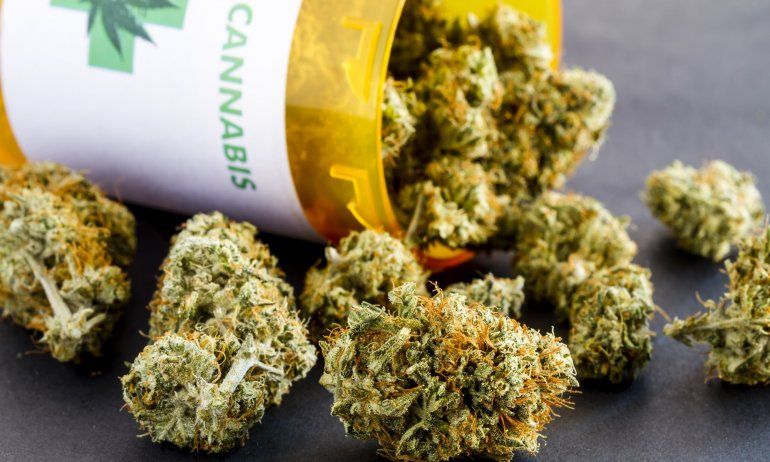Enfrenta escollos industria del cannabis medicinal