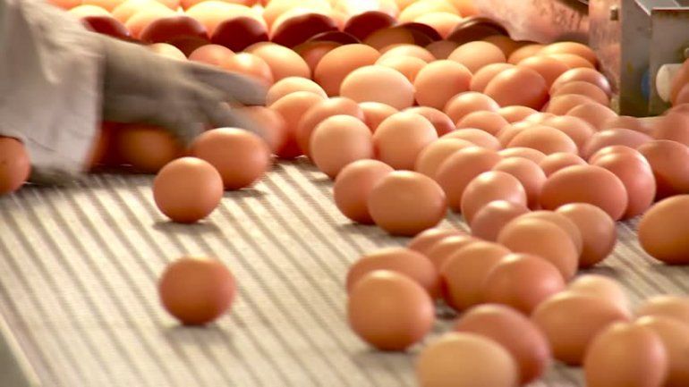 Se dispara el costo de los huevos