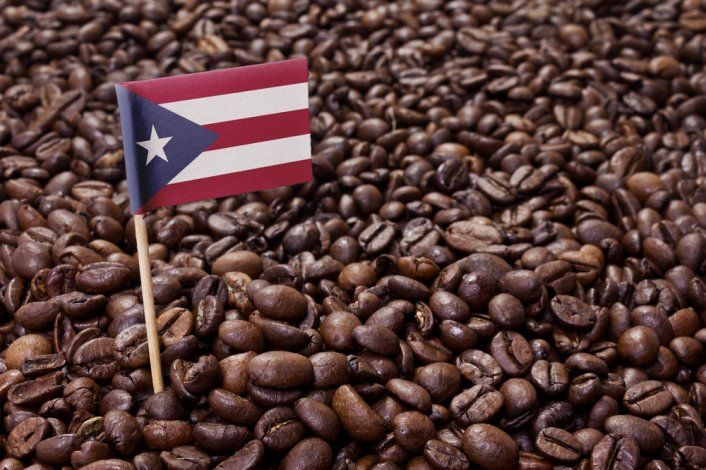 Buscan proclamar el 27 de febrero como el Día del Café en Puerto Rico