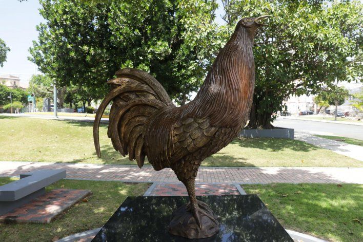 Causa polémica la estatua del gallo